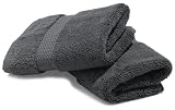Pinzon Luxury 820-Gram Cotton Washcloth, Set of 2, Platinum