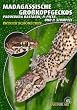 Madagassische Gro�kopfgeckos: Paroedura Bastardi, P. Picta und P. Stumpffi. Art f�r Art