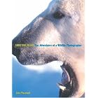 Shooting Bears: The Adventures of an Wildlife Photographer by John Pezzenti and Lew Freedman