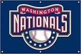 Washington Nationals 2 x 3 Fan Banner