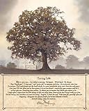 Living Life by Bonnie Mohr. Size 16.00 inches width by 13.05 inches height. High Quality Art Poster Print