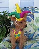 Mardi Gras Dog Costume - Mr. Jester Dog Costume - Large
