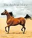 The Arabian Horse: History, Mystery and Magic