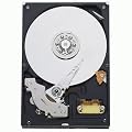 Western Digital 160 GB Caviar Blue PATA 7200 RPM 8 MB Cache Bulk/OEM Desktop Hard Drive WD1600AAJB