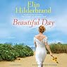 Beautiful Day: A Novel