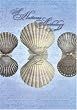 A Hatteras Anthology: The Voices of Hatteras Island Women