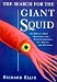 The Search for the Giant Squid