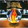 Marbles Live