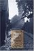 Search : The Brontës and Religion