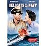 Hellcats of the Navy