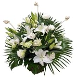 �v���V���X�z���C�g