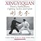 Hsing-I / Xingyi
