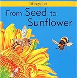 From seed to sunflower