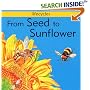 From Seed to Sunflower (Lifecycles)