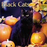Black Cats 2003 Calendar