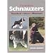 The World of Schnauzers: Standard, Giant, Miniature