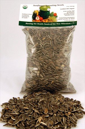 8 Oz. Certified Organic Sunflower Sprouting Seed - Striped Sunnies Un Shelled Sun Flower... by Living Whole Foods