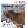 Chester the Chesapeake: Wintertime (Volume 3)