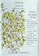 Summer Savory Heirloom Seeds 350 Seeds