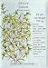 Summer Savory Heirloom Seeds 350 Seeds