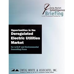 Market Intelligence Briefing: Opportunities in the Deregulated Electric Utilities Market  for A/E/P & Environmental Consulting Firms