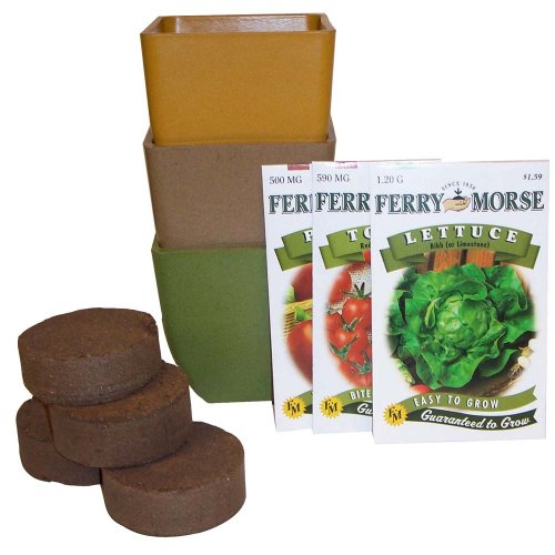 Green Arbor Container Garden Essentials