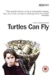 Turtles Can Fly [2005] [DVD]