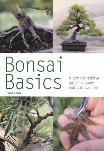 Bonsai Basics: A Comprehensive Guide to Care