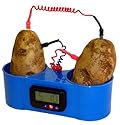 PacSci Potato Clock