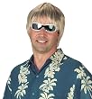 Dude Wig in Blonde - Adult Std.