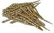 Club Pack of 36 Vegas Gold Shatterproof Icicle Christmas Ornaments 5"