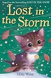 Lost in the storm