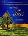The Three Trees: Storybook Advent Calendar Singles
