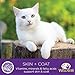 Wellness Healthy Indulgence Natural Grain Free Wet Cat Food, Turkey & Chicken, 3-Ounce Pouch (Pack Of 24)