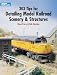 Books : 303 Tips for Detailing Model Railroad Scenery and Structures (Model Railroad Handbook)