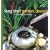 Feng Shui Garden Design: Creating Serenity