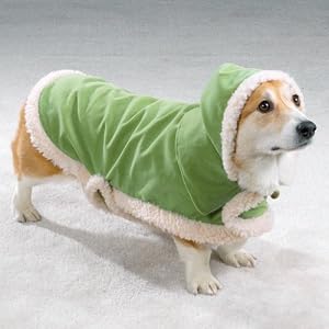 x-small suede dog jacket2