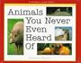 Animals you Never Even Heard Of