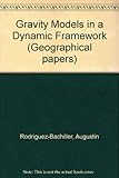 Gravity models in a dynamic framework