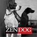 Book Zen Dog
