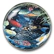 Koi - Crystal Dome Paperweight