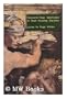 Amaranth-Sage Epiphanies of Dusk-Weaving Paradise: Selected Poems of Hugo G. Walter