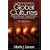 Understanding Global Cultures: Metaphorical Journeys Through 28 Nations, Clusters of Nations, and Continents