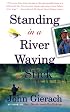 Standing in a River Waving a Stick