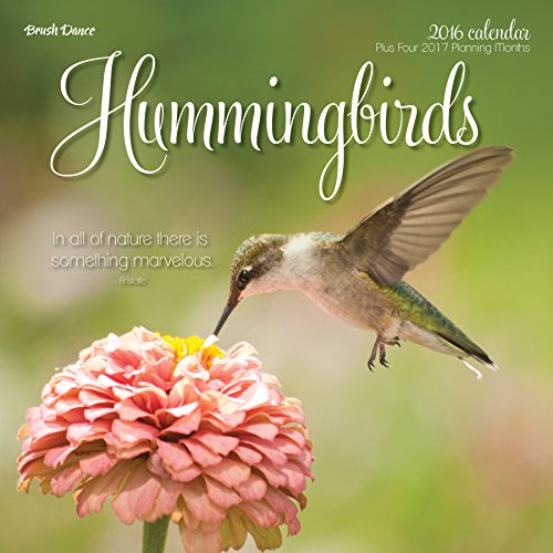 2016 Hummingbirds Wall Calendar