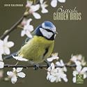 British Garden Birds 2010 Wall Calendar
