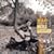 Hag: The Best of Merle Haggard