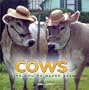 Cows Like You've Never Seen