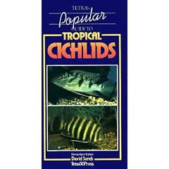 Popular Guide to Tropical Cichlids