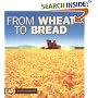 From Wheat to Bread (Start to Finish)